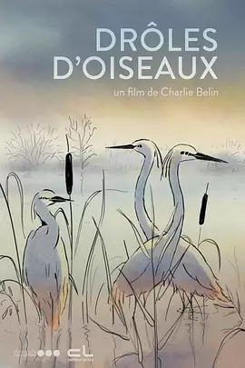 浓烈的闲聊