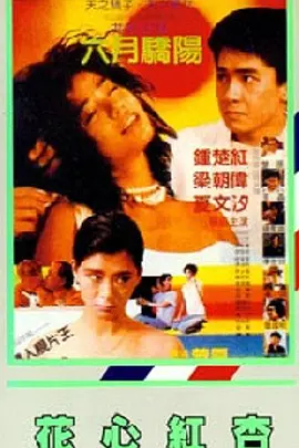 我朋友的老公