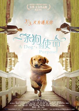 朋友范建老婆刘盈