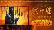 三极毛片