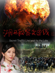 成年在线视频