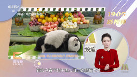 挠脚心失禁vk